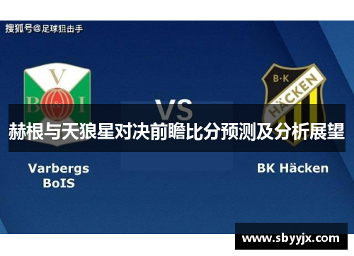 赫根与天狼星对决前瞻比分预测及分析展望
